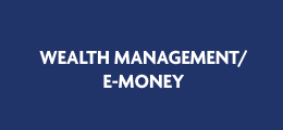 Dark blue background with "WEALTH MANAGEMENT/ E-MONEY"